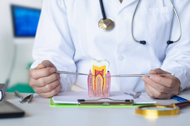 Best Emergency Orthodontic Repairs in Boaz, WV
